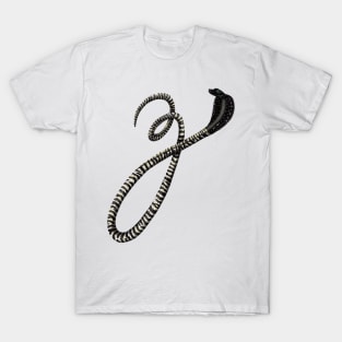 Z - Zebra spitting cobra T-Shirt